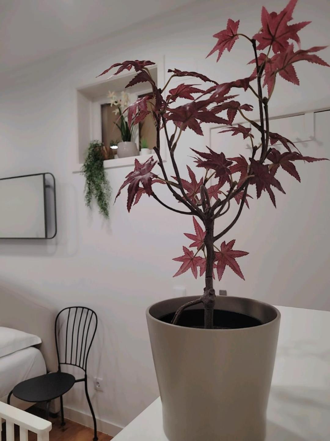 Privatunterkunft Varanda Privada Iroom Lissabon